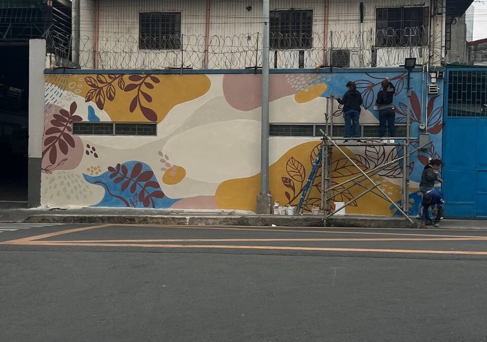Empowering Creativity:  Women Transform Walls with Steine Paint Modern Limewash