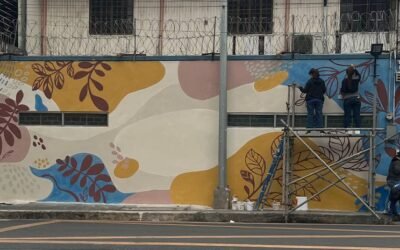 Empowering Creativity:  Women Transform Walls with Steine Paint Modern Limewash