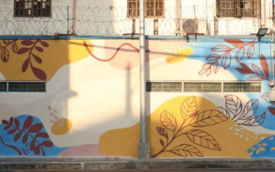 Empowering Creativity: Women Transform Walls with Steine Paint Modern Limewash