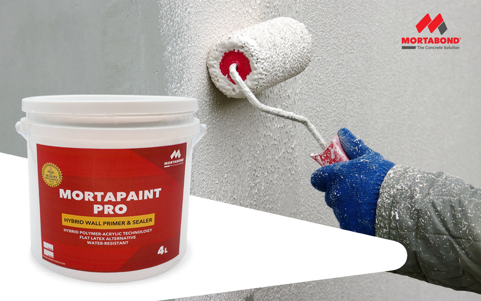 Mortapaint Pro